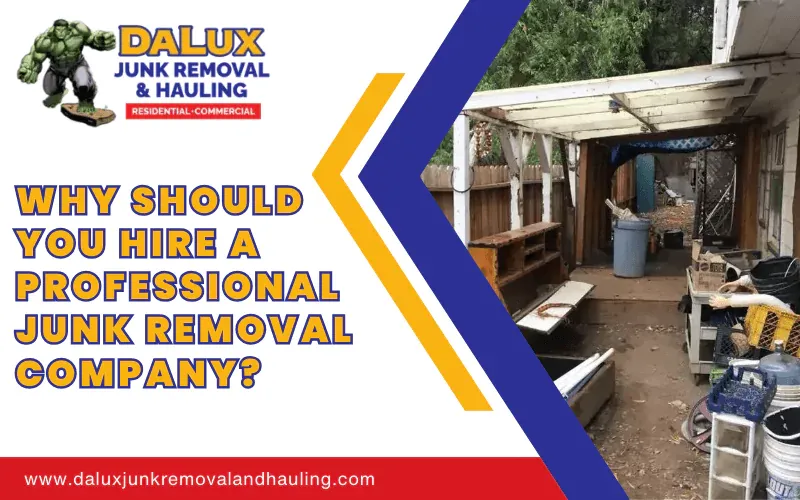 Why Should You Hire A Professional Junk Removal Company? Why Should You Hire A Professional Junk Removal Company? Why Should You Hire A Professional Junk Removal Company?