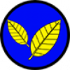 Eco Friendly Icon