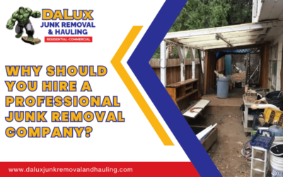 Why Should You Hire A Professional Junk Removal Company?